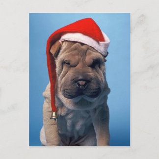 Cartes Pour Fêtes Annuelles Chiot mignon de Shar Pei avec le casquette de Noël