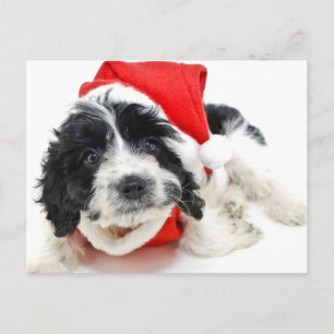 Cartes Pour Fêtes Annuelles Chiot noir et blanc utilisant l'équipement de Père