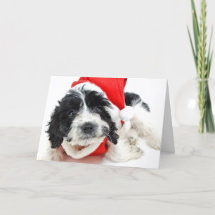 Cartes Pour Fêtes Annuelles Chiot noir et blanc utilisant l'équipement de Père