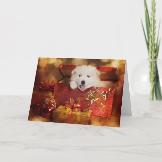 Cartes Pour Fêtes Annuelles Chiot Samoyé Dans Une Boîte De Noël (Devant)