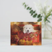 Cartes Pour Fêtes Annuelles Chiot Samoyé Dans Une Boîte De Noël (Debout devant)