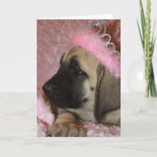Cartes Pour Fêtes Annuelles Chiot Valentine Mastiff avec couronne