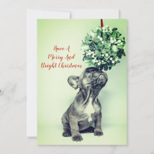 Cartes Pour Fêtes Annuelles Chiots Bouledogue Français Guirlande de gui Joyeux