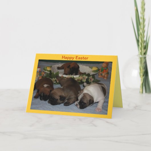 Cartes Pour Fêtes Annuelles Chiots Bouledogues Français de Pâques Bouledogue F (Devant)