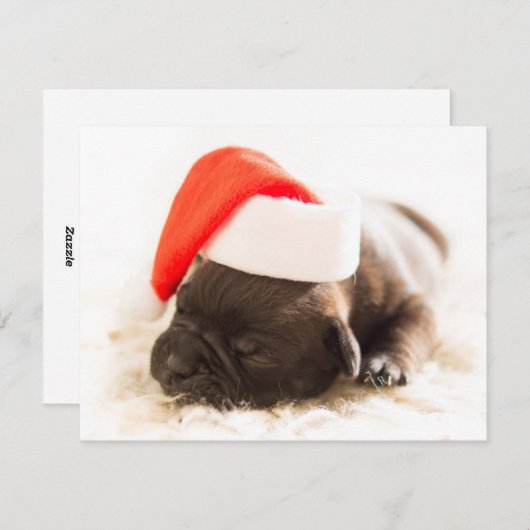 Cartes Pour Fêtes Annuelles Chiots de Noël (Devant / Derrière)
