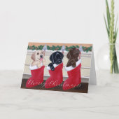 Cartes Pour Fêtes Annuelles Chiots de Noël Labrador (Devant)