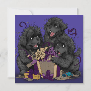 Cartes Pour Fêtes Annuelles chiots de Terre-Neuve ouvrant des cadeaux