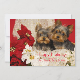 Cartes Pour Fêtes Annuelles Chiots de Yorkie avec des poinsettias
