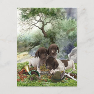Cartes Pour Fêtes Annuelles Chiots mignons à poignets allemands