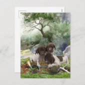 Cartes Pour Fêtes Annuelles Chiots mignons à poignets allemands (Devant / Derrière)