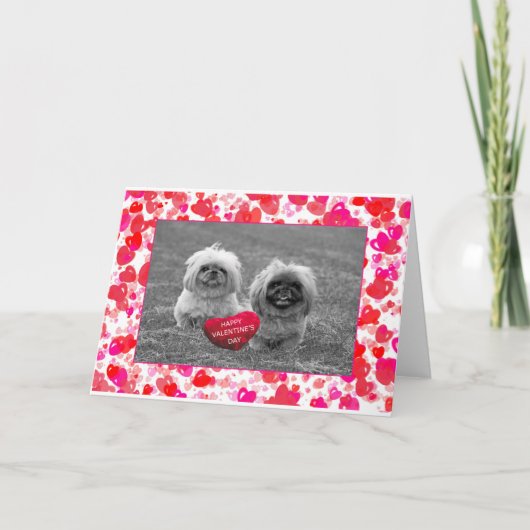 Cartes Pour Fêtes Annuelles Chiots Pekingese souhaitant Heureuse Sainte-Valent (Devant)