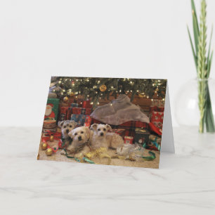 Cartes Pour Fêtes Annuelles Chiots vilains et gentils