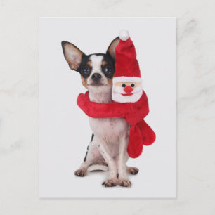 Cartes Pour Fêtes Annuelles Chiwawa avec la poupée du père noël