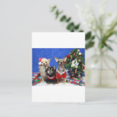 Cartes Pour Fêtes Annuelles Chiwawas de Noël (Debout devant)