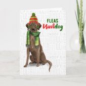 Cartes Pour Fêtes Annuelles Chocolat Lab Funny Fleas Navidog Noël (Devant)