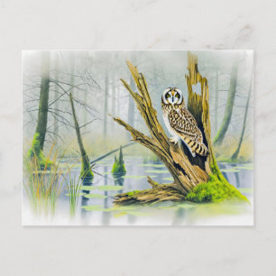 Cartes Pour Fêtes Annuelles Chouette à oreilles courtes sur souche d'arbre