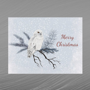 Cartes Pour Fêtes Annuelles Chouette blanche de Noël Branche de pin Aquarelle