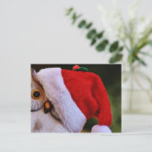 Cartes Pour Fêtes Annuelles Chouette de Noël mignonne, Joyeuse Chouette de Noë (Debout devant)