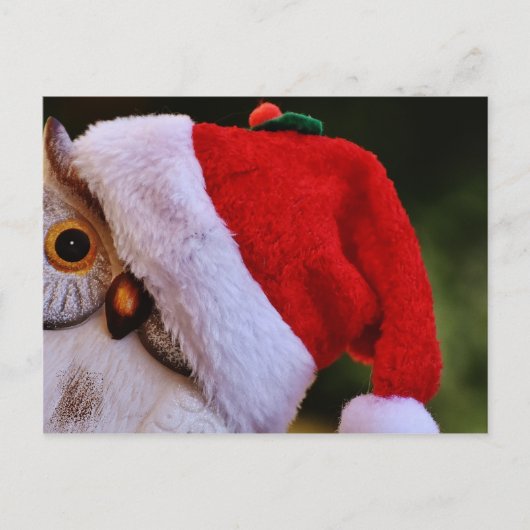 Cartes Pour Fêtes Annuelles Chouette de Noël mignonne, Joyeuse Chouette de Noë (Devant)