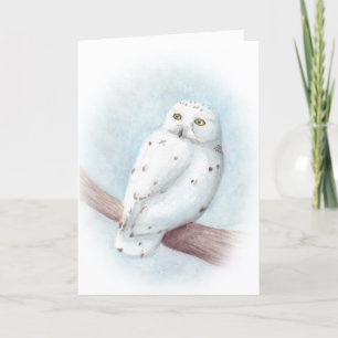 Cartes Pour Fêtes Annuelles Chouette des neiges
