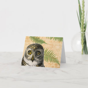 Cartes Pour Fêtes Annuelles Chouette vintage et fougères Toutes les occasions