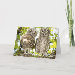Cartes Pour Fêtes Annuelles Chouettes à cris chèvres chicks chicks