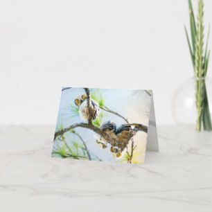 Cartes Pour Fêtes Annuelles Chouettes Bébé mignonnes Vide Toutes les occasions