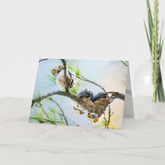 Cartes Pour Fêtes Annuelles Chouettes Bébé mignonnes Vide Toutes les occasions (Devant)