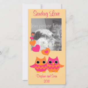 Cartes Pour Fêtes Annuelles Chouettes d'amour douces