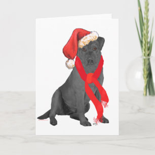 Cartes Pour Fêtes Annuelles Chrétien noir Labrador