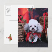 Cartes Pour Fêtes Annuelles Christmas (Devant / Derrière)