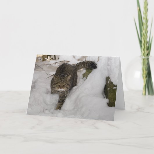 Cartes Pour Fêtes Annuelles Christmas (Devant)