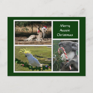 Cartes Pour Fêtes Annuelles Christmas Animals Aussie Style - Personalizable