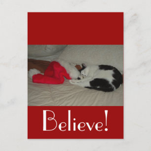 Cartes Pour Fêtes Annuelles Christmas Believe Kitty Chat