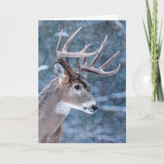 Cartes Pour Fêtes Annuelles Christmas Buck (Devant)