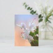 Cartes Pour Fêtes Annuelles Christmas Cactus (Debout devant)