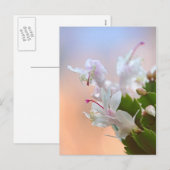 Cartes Pour Fêtes Annuelles Christmas Cactus (Devant / Derrière)