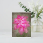 Cartes Pour Fêtes Annuelles Christmas Cactus (Debout devant)