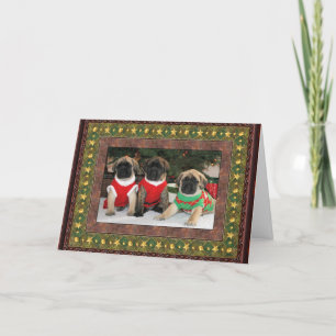 Cartes Pour Fêtes Annuelles Christmas Card 2