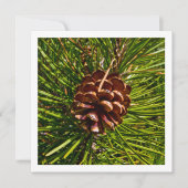 Cartes Pour Fêtes Annuelles Christmas Card Square Panel Pine Cone Photo (Devant)