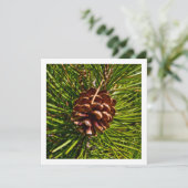 Cartes Pour Fêtes Annuelles Christmas Card Square Panel Pine Cone Photo (Debout devant)