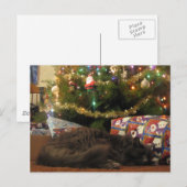 Cartes Pour Fêtes Annuelles Christmas Cat (Devant / Derrière)