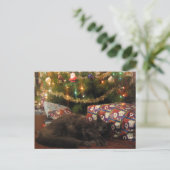Cartes Pour Fêtes Annuelles Christmas Cat (Debout devant)