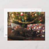 Cartes Pour Fêtes Annuelles Christmas Cat (Devant / Derrière)