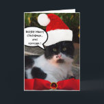 CARTES POUR FÊTES ANNUELLES CHRISTMAS CHAT AVEC CASQUETTE SANTA CLAUS ET RIBBO<br><div class="desc">"Joyeux et brillant Noël "Chat impressionnant et magnifique aux yeux verts jaunes et arc rouge,  ruban et pierre de rubis. Photo de Bulgan Lumini (c)</div>