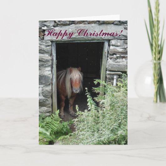 CARTES POUR FÊTES ANNUELLES CHRISTMAS CHEVAUX ET PONIES (Devant)