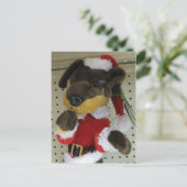 Cartes Pour Fêtes Annuelles Christmas Dachshund (Debout devant)