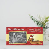 Cartes Pour Fêtes Annuelles Christmas Dachshund (longhair) (Debout devant)