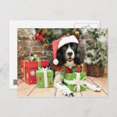 Cartes Pour Fêtes Annuelles Christmas - English Springer Espagne - Lucy (Devant / Derrière)