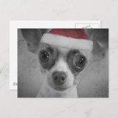 Cartes Pour Fêtes Annuelles Christmas Funny Chihuahua Puppy with Santa Hat (Devant / Derrière)